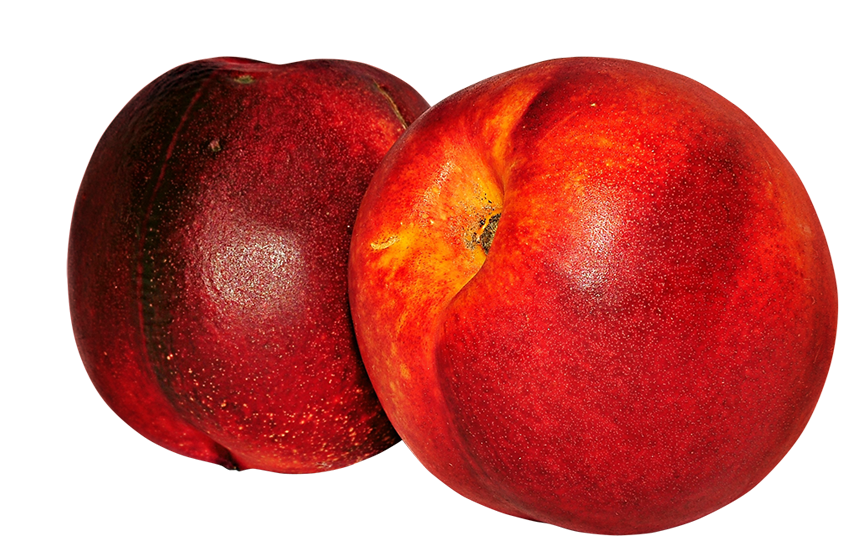 nectarines images, nectarines png, nectarines png image, nectarines transparent png image, nectarines png full hd images download